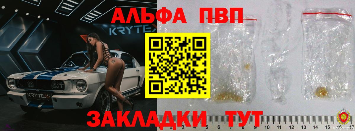 Альфа ПВП СК Шахты
