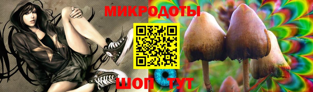 Псилоцибиновые грибы Psilocybe  Вход с VPN  Шахты 